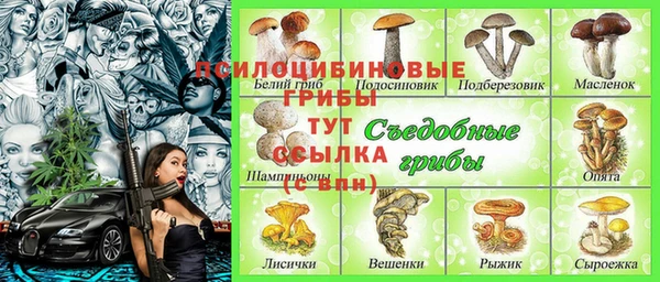 прущий лед Вязьма