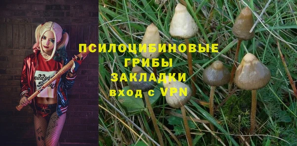прущий лед Вязьма