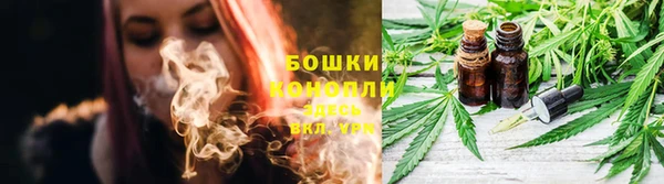 прущий лед Вязьма